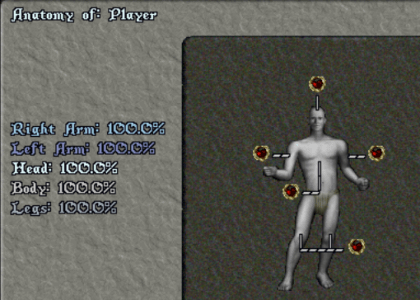 Body System