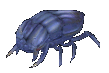 Archivo:Escarabajo.gif